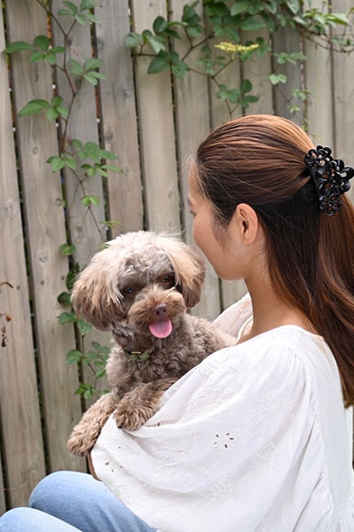 トリマー　おおもり　トイプードル　だっこ